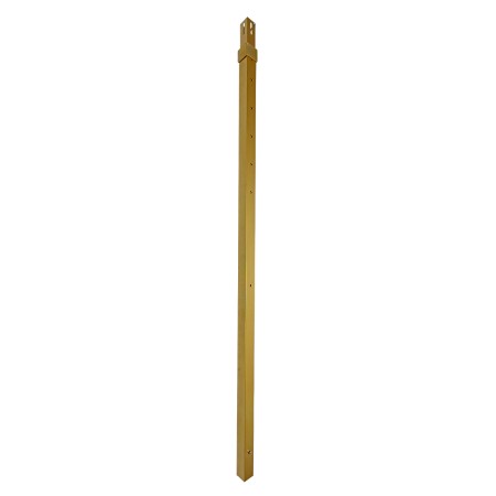 7975-GOLD