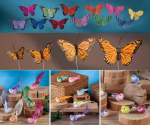 Feathers, Birds & Butterflies